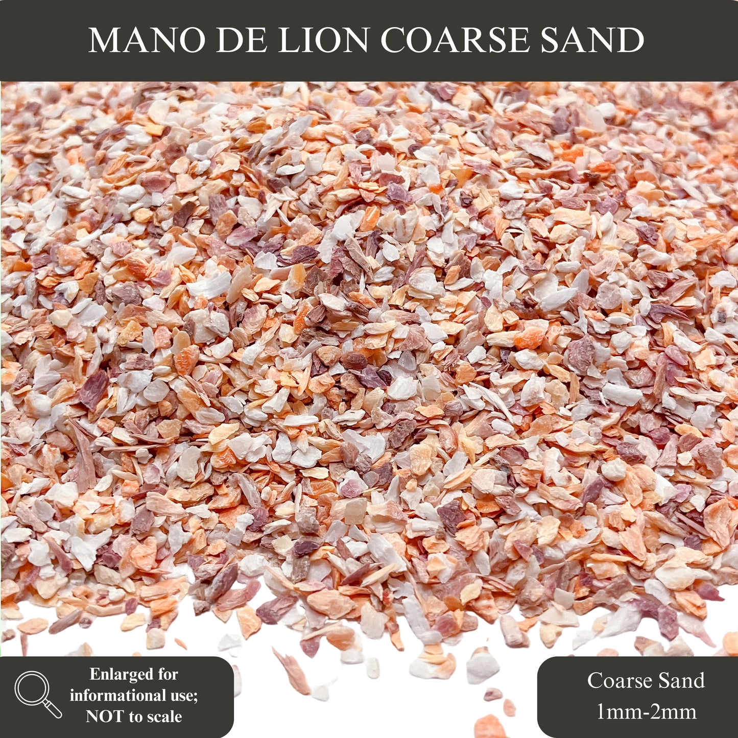 Crushed Mano de Lion Shells, 3 Sand Size Options for Woodworking and Ring Inlay, Resin Art, Memorial & Sand Jewelry