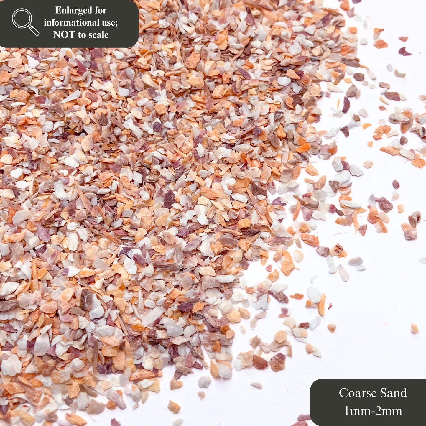 Crushed Mano de Lion Shells, 3 Sand Size Options for Woodworking and Ring Inlay, Resin Art, Memorial & Sand Jewelry