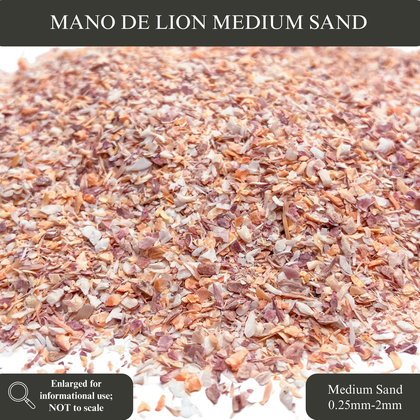 Crushed Mano de Lion Shells, 3 Sand Size Options for Woodworking and Ring Inlay, Resin Art, Memorial & Sand Jewelry