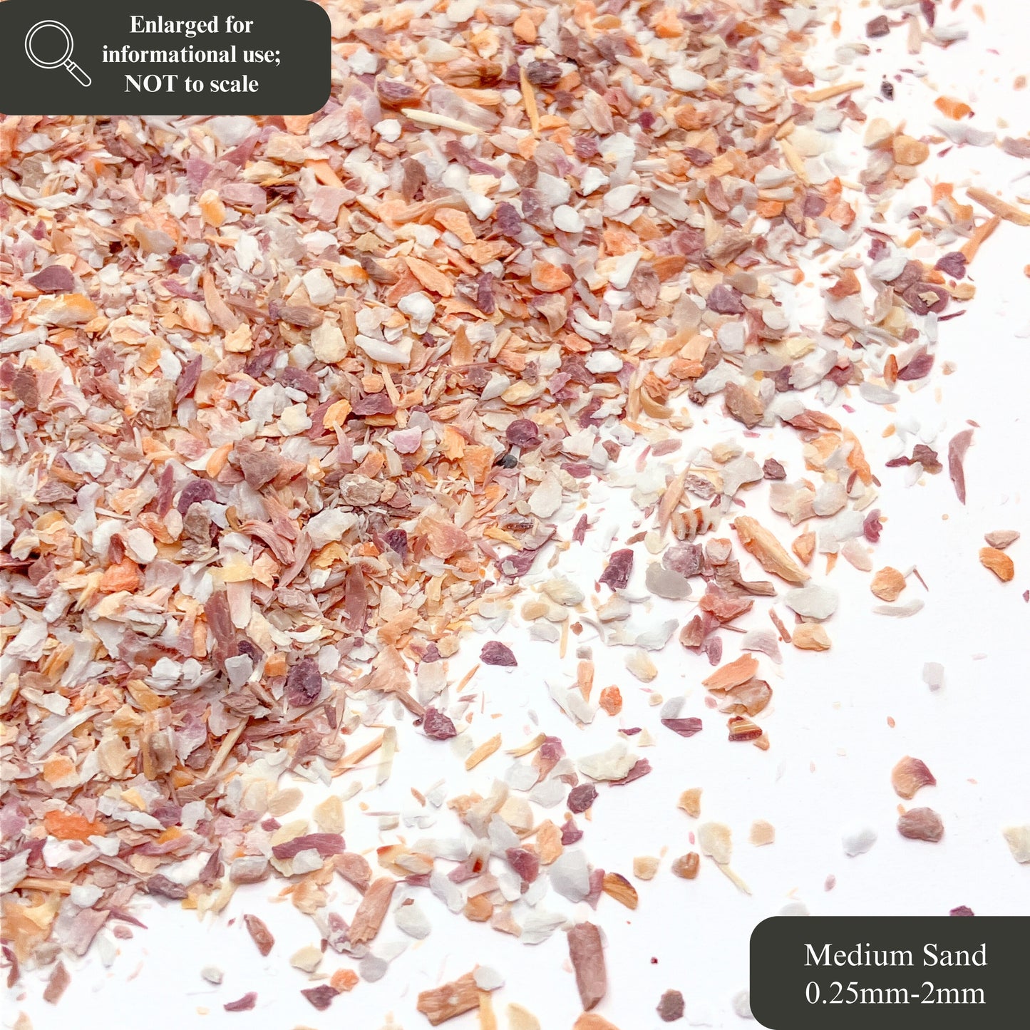 Crushed Mano de Lion Shells, 3 Sand Size Options for Woodworking and Ring Inlay, Resin Art, Memorial & Sand Jewelry