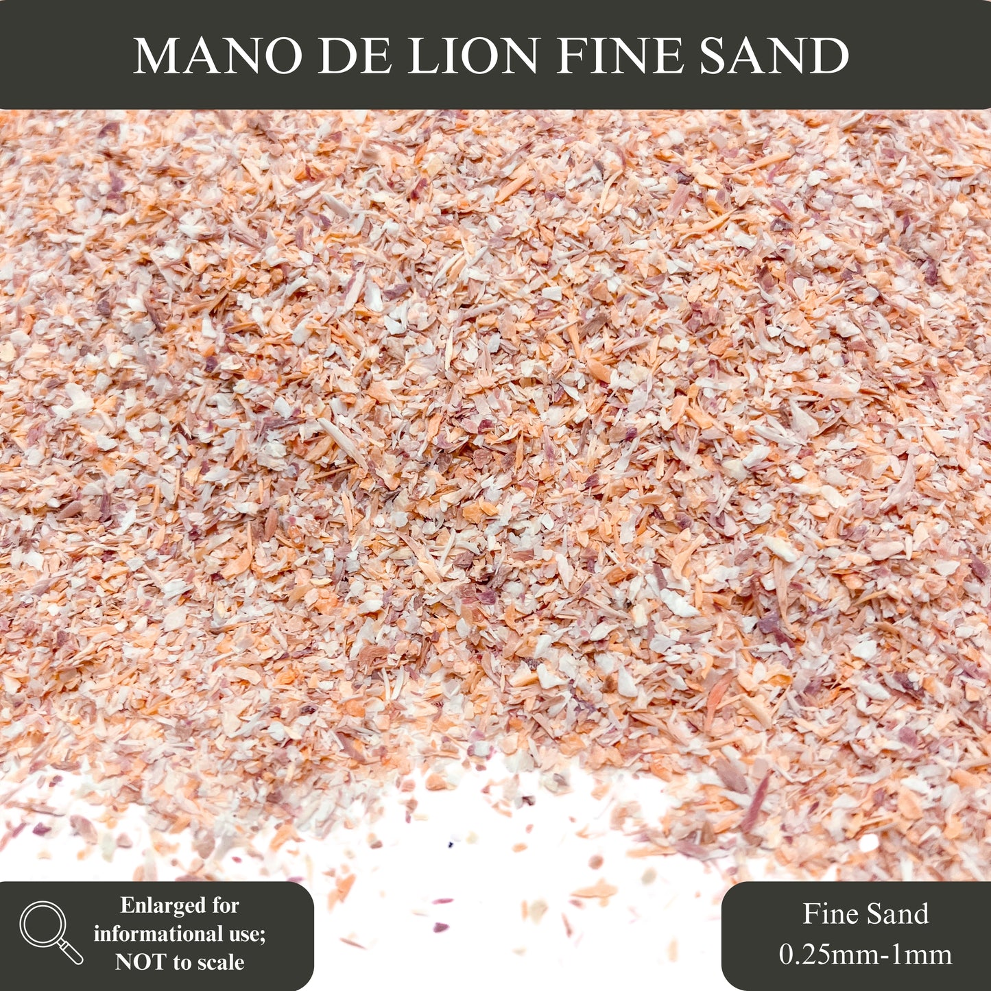 Crushed Mano de Lion Shells, 3 Sand Size Options for Woodworking and Ring Inlay, Resin Art, Memorial & Sand Jewelry