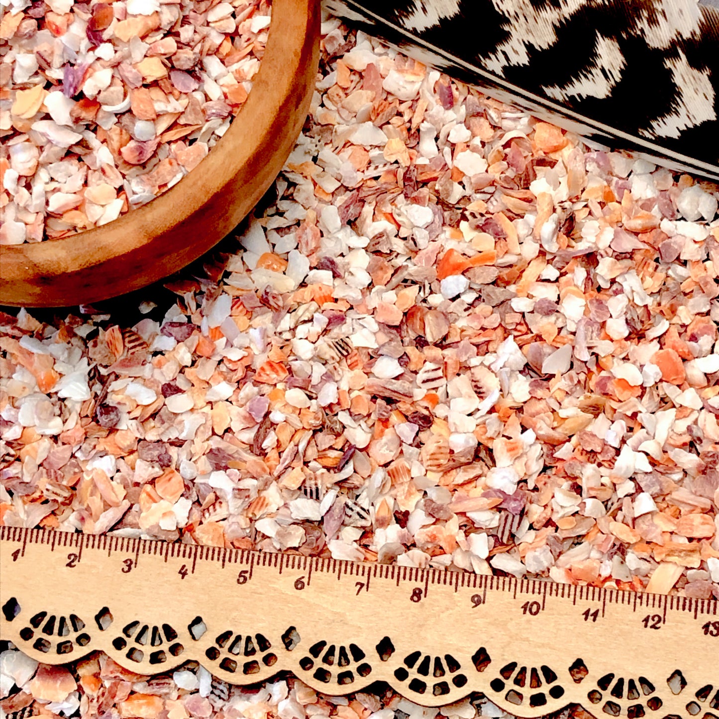 Crushed Mano de Lion Shells from Mexico, Coarse Crush, Gravel Size (4mm - 2mm)