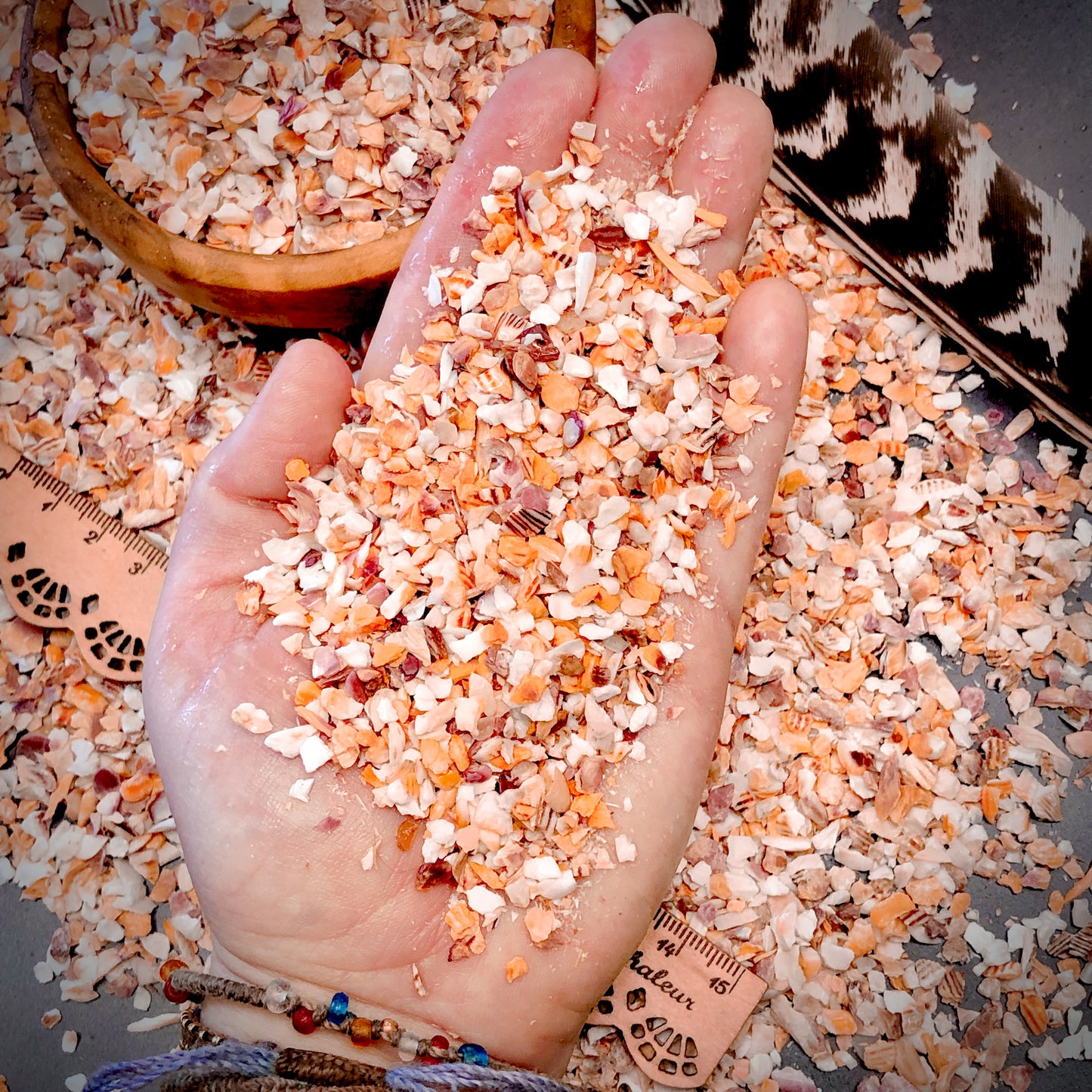 Crushed Mano de Lion Shells from Mexico, Coarse Crush, Gravel Size (4mm - 2mm)