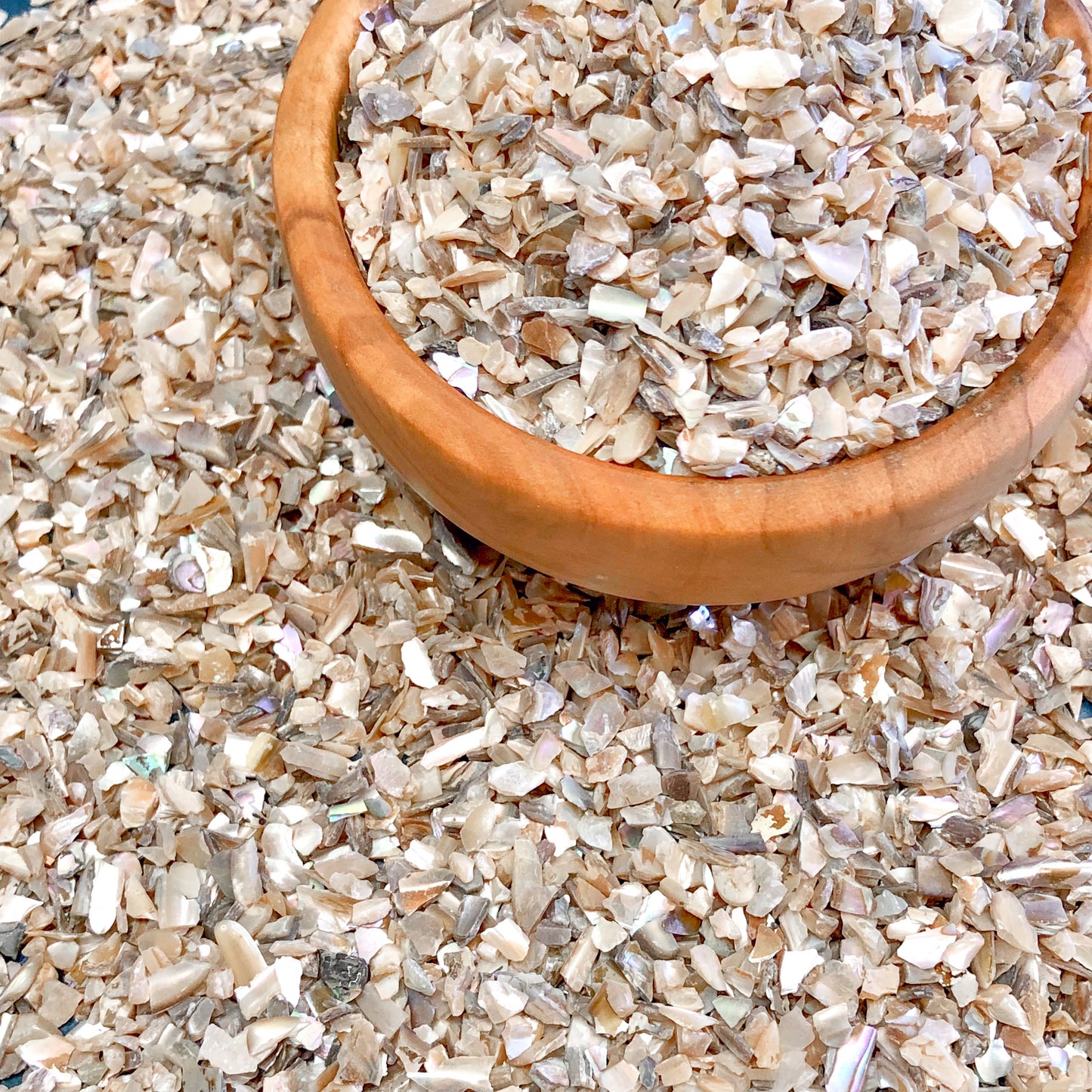 Crushed Flashy Silver-Cream Abalone from Mexico, Coarse Crush, Gravel Size, 4mm - 2mm
