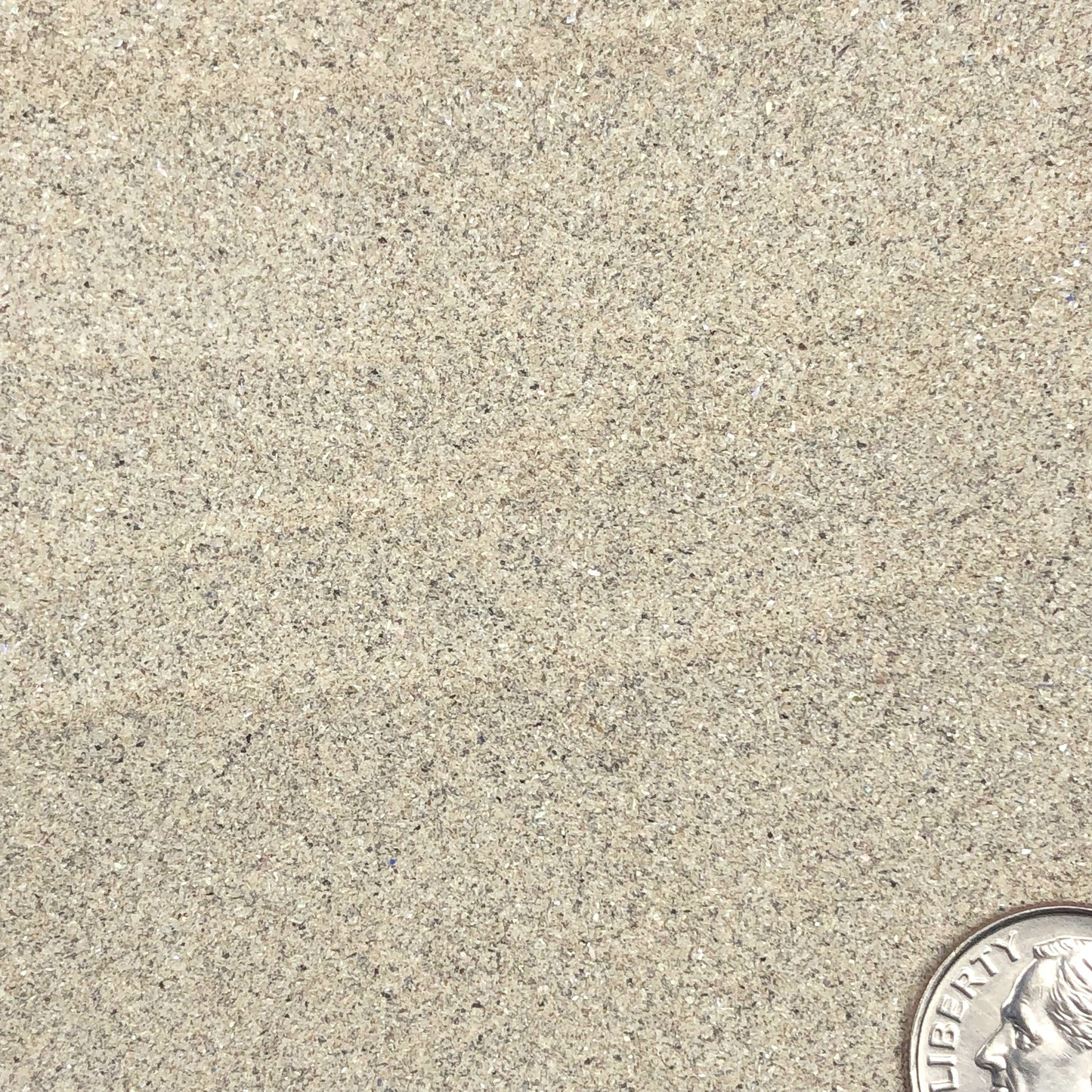 Crushed Iridescent Abalone (Paua) from the Gulf of Mexico, Fine Crush, Powder Size, <0.25mm