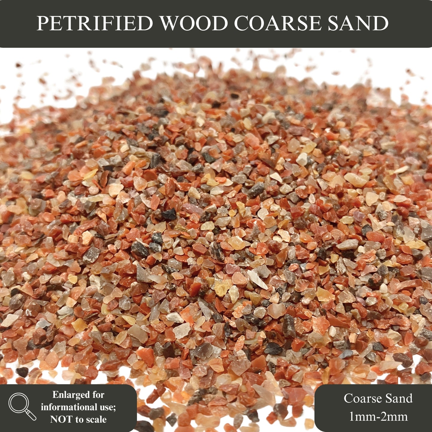 Crushed Petrified Wood Sand from Arizona, 3 Sand Sizes for Woodworking and Ring Inlay, Resin Art, Memorial Jewelry