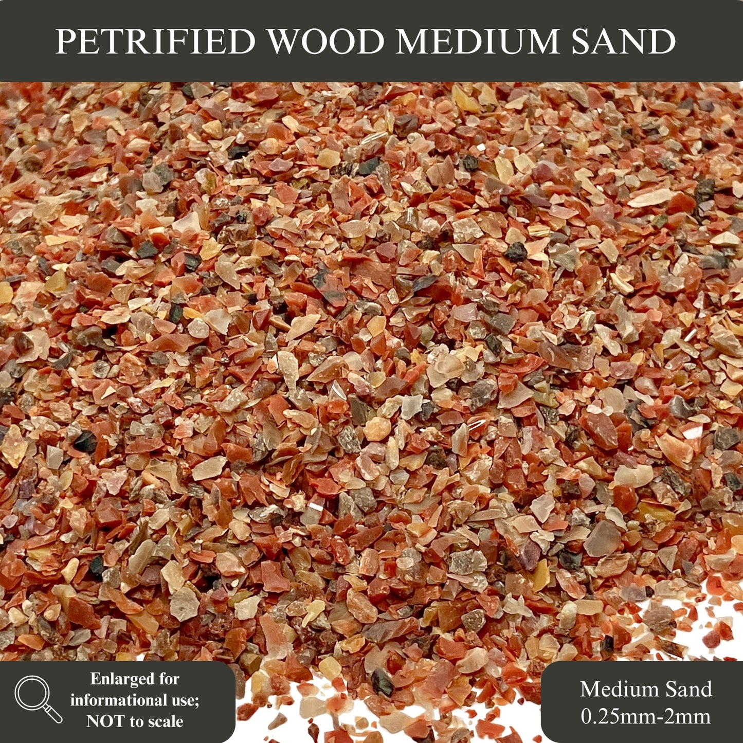 Crushed Petrified Wood Sand from Arizona, 3 Sand Sizes for Woodworking and Ring Inlay, Resin Art, Memorial Jewelry