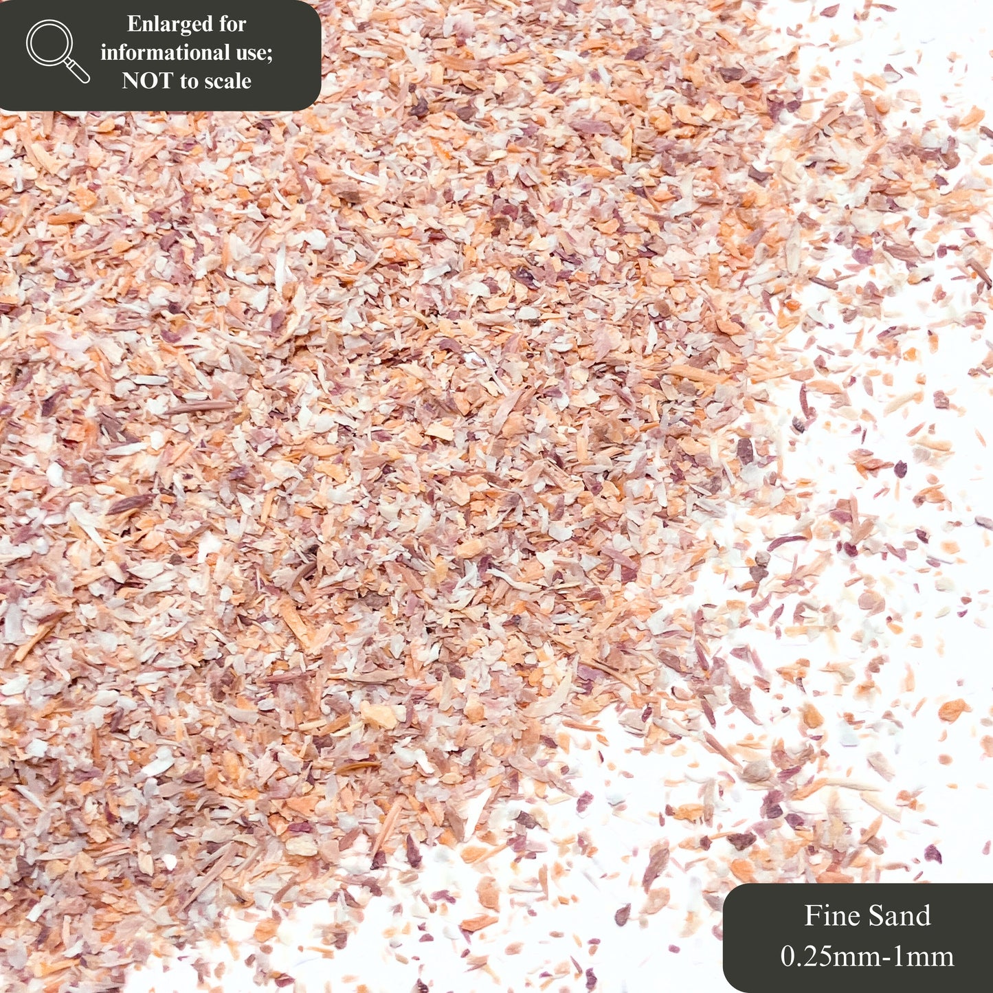 Crushed Mano de Lion Shells, 3 Sand Size Options for Woodworking and Ring Inlay, Resin Art, Memorial & Sand Jewelry