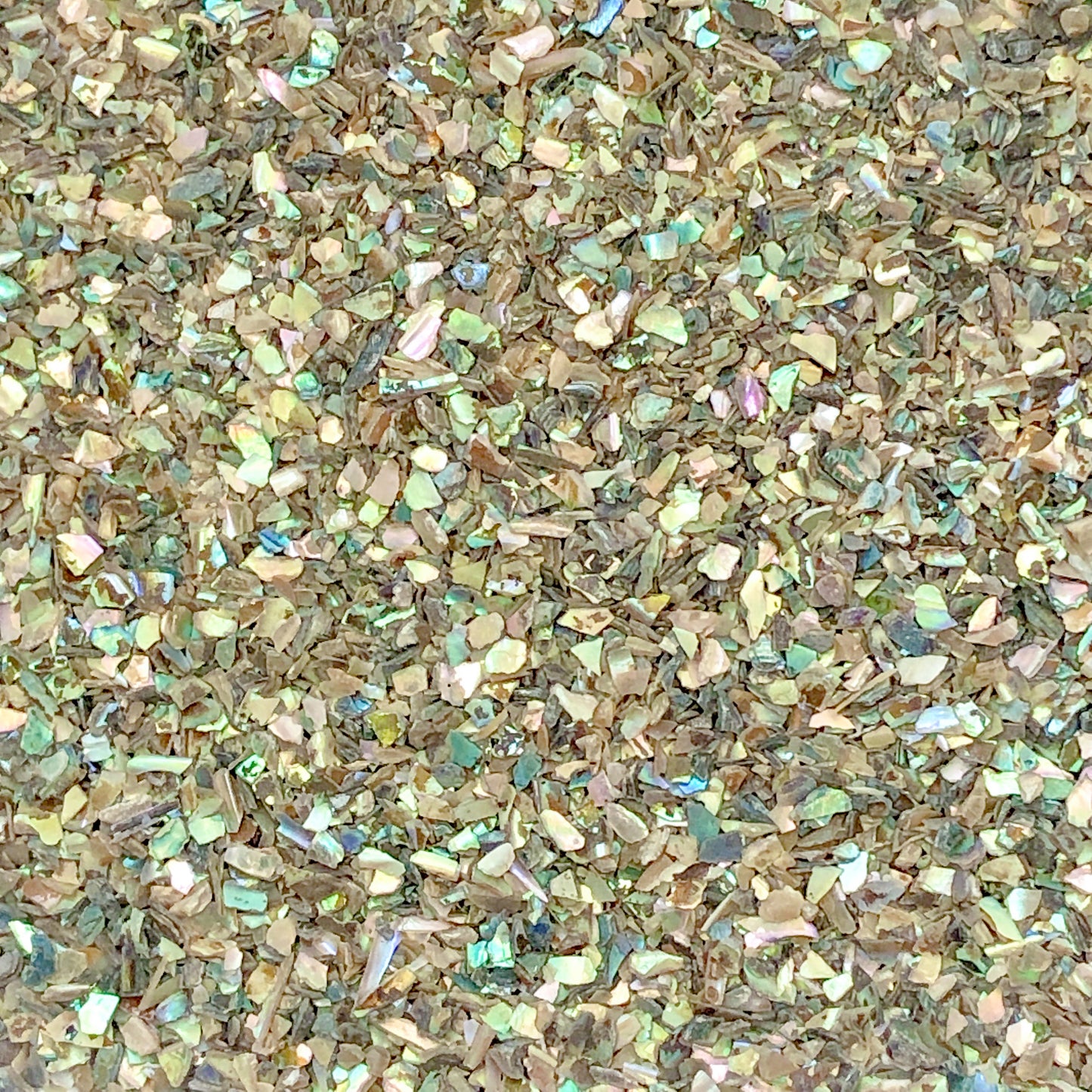 Crushed Iridescent Abalone (Paua) from the Gulf of Mexico, Medium Crush, Sand Size, 2mm - 0.25mm