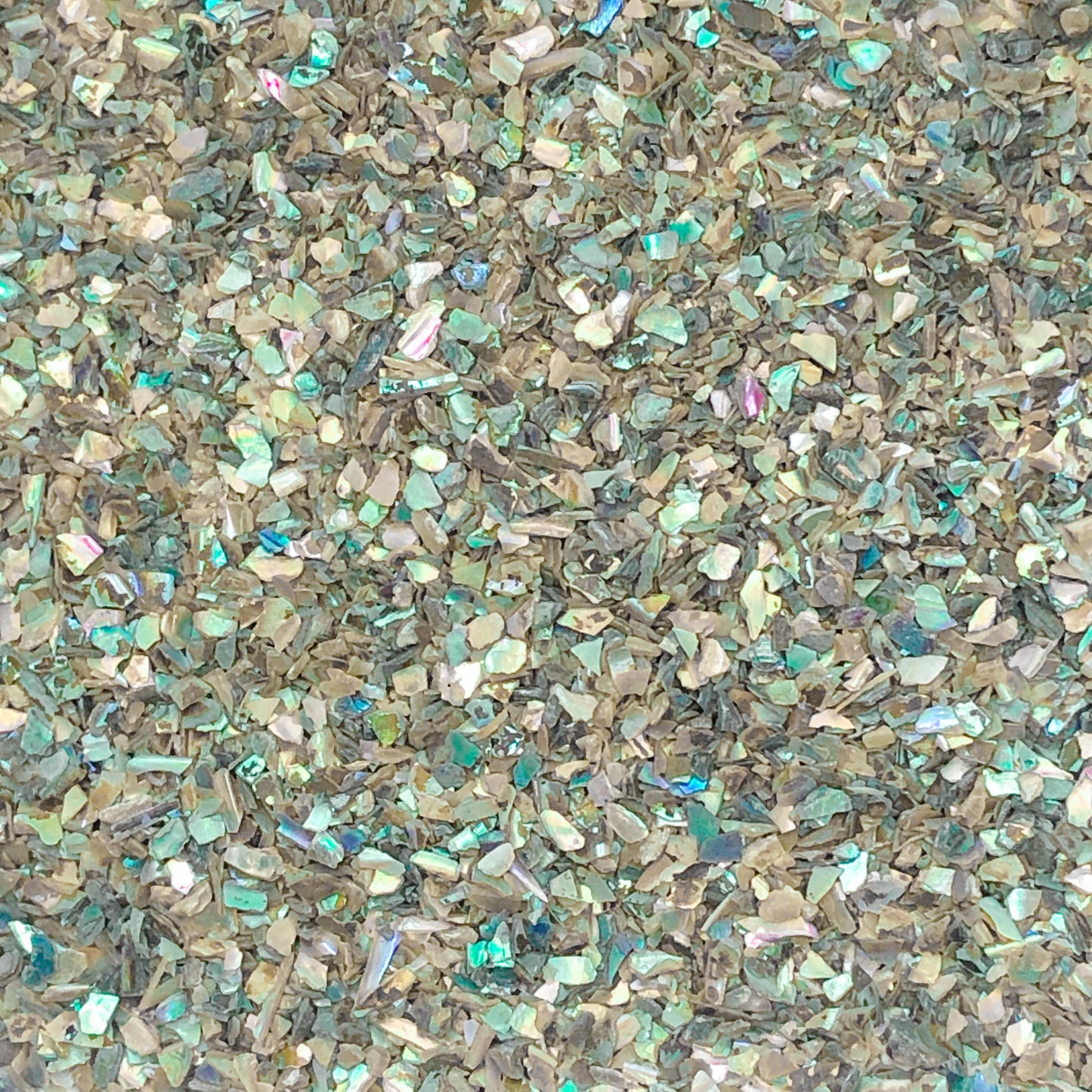 Crushed Iridescent Abalone (Paua) from the Gulf of Mexico, Medium Crush, Sand Size, 2mm - 0.25mm