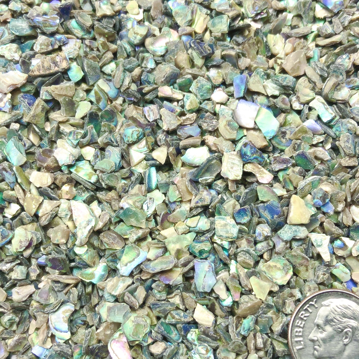 Crushed Iridescent Abalone (Paua) from the Gulf of Mexico, Coarse Crush, Gravel Size, 4mm - 2mm